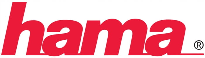 19037